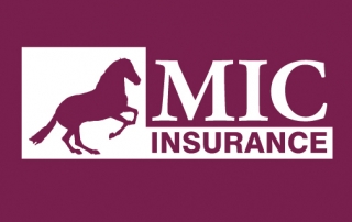 MIC Insurance - Millennium