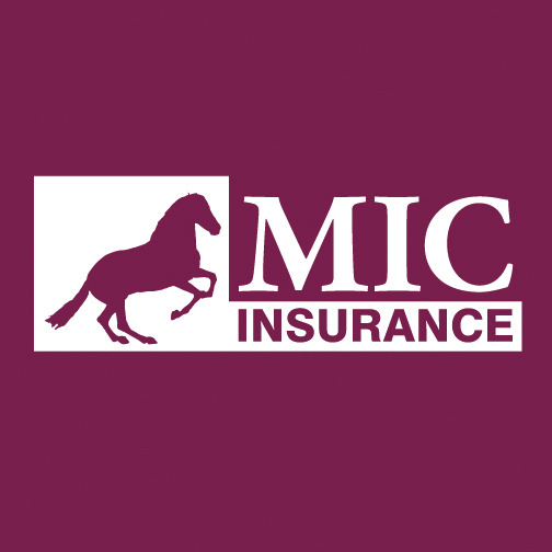 MIC Insurance - Millennium