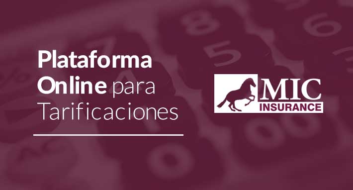 plataforma online para tarificaciones